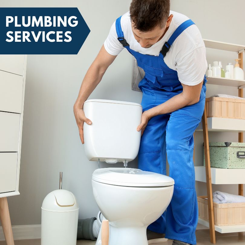 Plumbing Company in Denver, IA